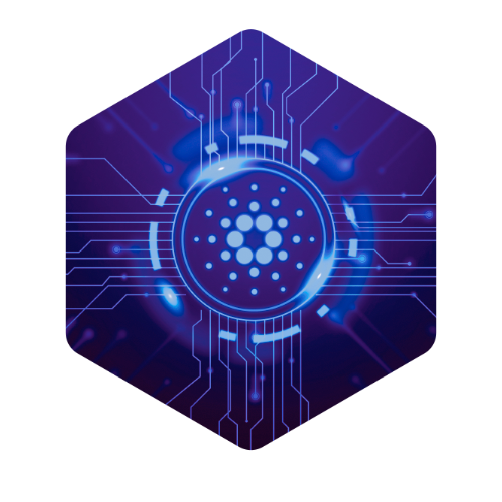 Partner with Ubivio